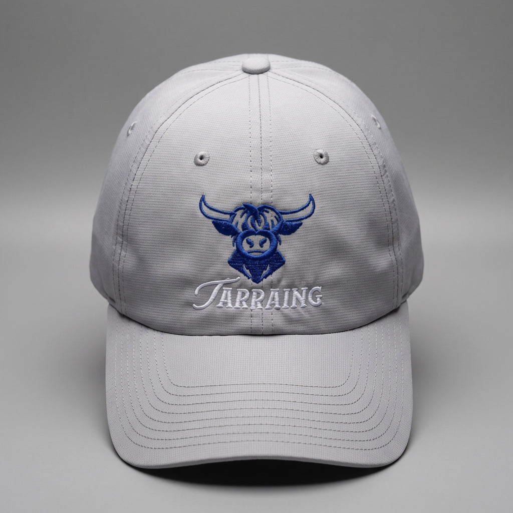 Gray, White & Blue Highland Cow